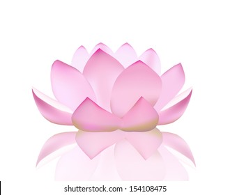 vector illustration of a lotus flower isolated on white