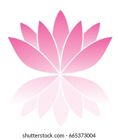vector illustration of lotus flower isolated on white background