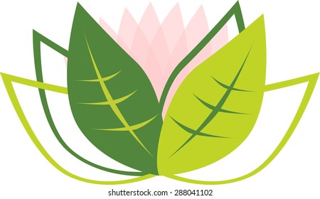 Vector illustration of lotus flower on white.