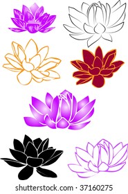 vector illustration of lotus flowers