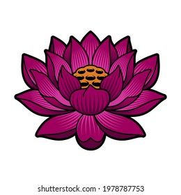A vector illustration of a lotus isolated on white background
