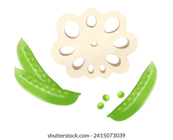 Vector illustration of lotus root and green beans