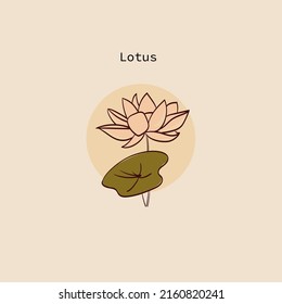 vector illustration of a lotus in a simple hand-drawn style