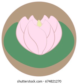 Vector illustration lotus/Lotus