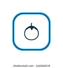 Vector illustration of love apple icon line. Beautiful eating element also can be used as eggplant  icon element.