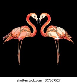 Vector illustration of love pink flamingos on black background