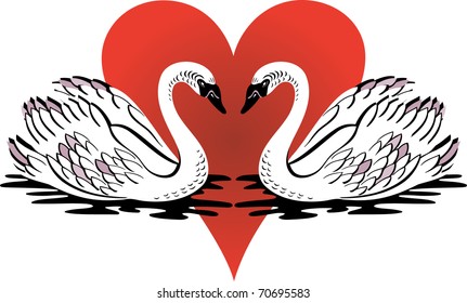 Vector Illustration of love swans swimming with red heart.