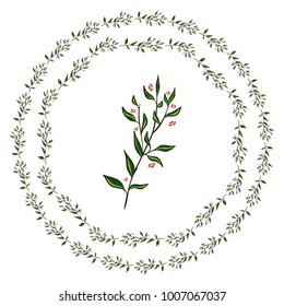 Vector illustration of lovely frames, consist from roses branches, leaves and flowers. Abstract design, near hand drawing style 