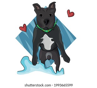 Vector illustration - lovely staffordshire bull terrier dog, flat art