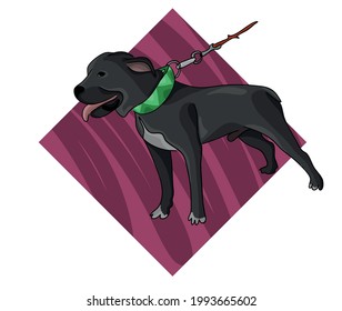 Vector illustration - lovely staffordshire bull terrier dog, flat art