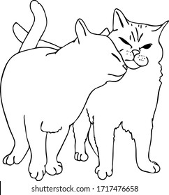 vector illustration. loving cats. cat sticks to cat sketch. graphic art. favorite pets. Home animals . funny cats. Lovers cats 