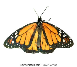 Vector illustration of low poly butterfly. Geometric polygonal butterfly silhouette. Butterfly triangles low poly vector.