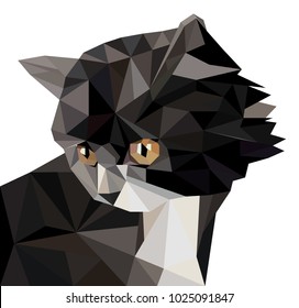 Vector illustration of low poly cat icon. Geometric polygonal cat silhouette. Low poly kitten