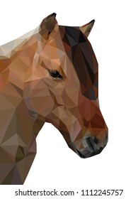 Vector illustration of low poly horse. Geometric polygonal horse portrait. Horse triangles low poly vector
