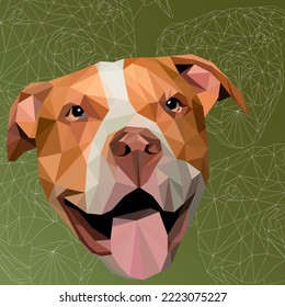 Vector illustration of low poly polygonal dog pitbull terrier breed muzzle face. Dog's head and white line geometric muzzle isolated on green background.