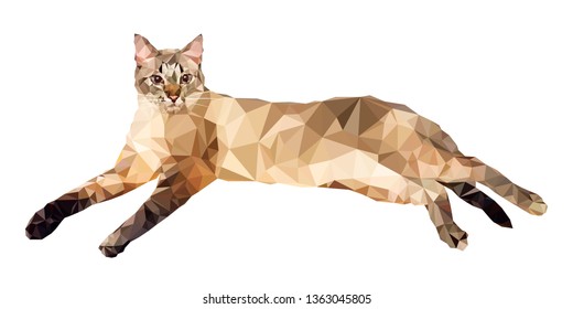 Vector illustration in low polygon style. Cat on a white background. Isolated object for your design.