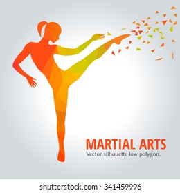 Vector illustration low polygonal. Silhouette of a slim woman doing side kick. female martial art. 