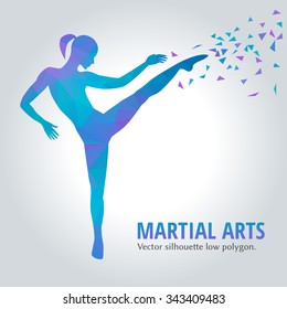 Vector illustration low polygonal. Silhouette of a slim woman doing side kick. female martial art. 