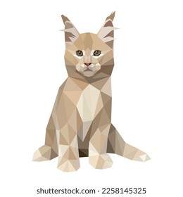 Vector illustration of low-poly polygonal cat body. Ginger Maine Coon cat breed is sitting. Isolated on white.  Veterinary, shop, children, kids, print concept.