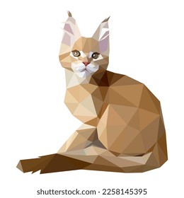 Vector illustration of low-poly polygonal cat body. Ginger Maine Coon cat breed is sitting. Isolated on white.  Veterinary, shop, children, kids, print concept.