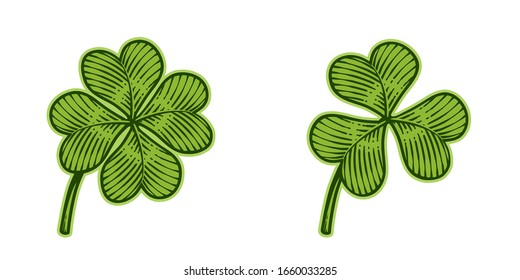 Vector illustration of lucky four-leaf and trefoil clovers in vintage engraving style; isolated on white background.