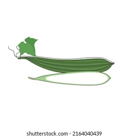 Vector illustration of Luffa Acutangula or Zucchini, also known as Gambas. Isolated on a white background.