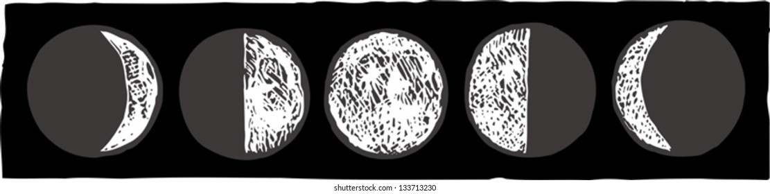 Vector illustration of the lunar phases