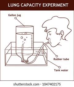  vector illustration of a Lung Capacity Experiment