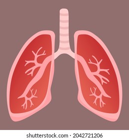 Vector illustration of a lung with its internal structure, suitable for advertising health and education products