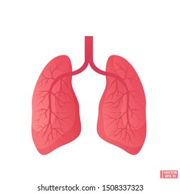 Vector illustration. Lungs icon. Internal organs of the human design element. Anatomy, medicine concept. Healthcare.
