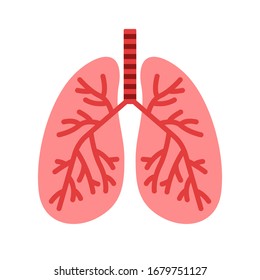 Vector illustration of lungs isolated on white background