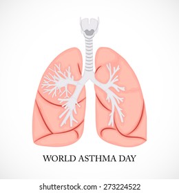 Vector illustration of a lungst for World Asthma Day in gray background.