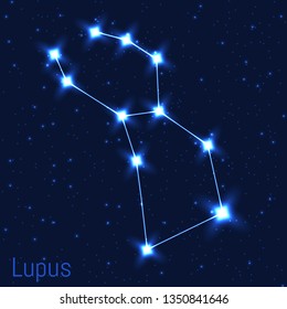 Vector illustration of Lupus constellation. Astronomical Wolf. Cluster of realistic stars in the dark blue starry sky.