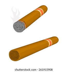 A vector illustration of a luxury Havana cigar with label.
Cigar.
An expensive cigar.