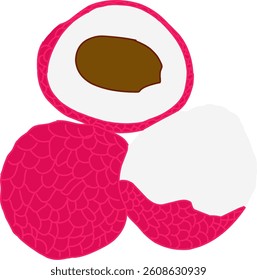 Vector illustration of lychee fruit, showing whole and peeled pieces with a visible seed