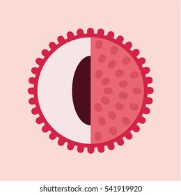 vector illustration of lychee melon