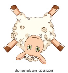 vector illustration of lying sheep
