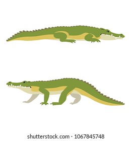 Vector illustration of lying and walking crocodiles isolated on white background