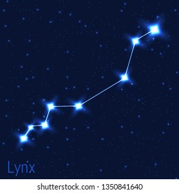 Vector illustration of Lynx constellation. Astronomical. Cluster of realistic stars in the dark blue starry sky.