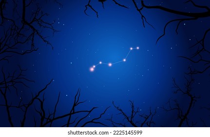 Vektorgrafik Lynx-Konstellation. Helle Konstellation im offenen Raum. Sternenhimmel hinter Baumsilhouette