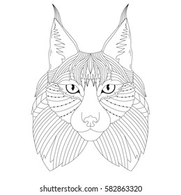 Vector illustration of the lynx, isolated. Black and white artwork in ethnic and zentangle style. Coloring page, t-shirt, print, card, poster, tattoo design