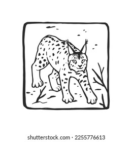 Vector illustration with lynx walking in the snow. Hand-drawn sketch in a frame with a wild animal.
