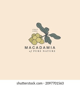 Vector illustration macadamia branch - vintage engraved style. Logo composition in retro botanical style