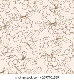 Vector illustration macadamia branch - vintage engraved style. Seamless pattern in retro botanical style