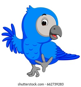 vector illustration of Macaw bird cartoon