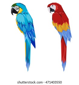 Vector illustration macaw parrot, bird vector