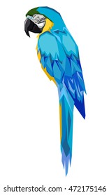 Vector illustration macaw parrot, bird vector
