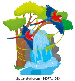 Vector illustration of macaw parrots fly over waterfall