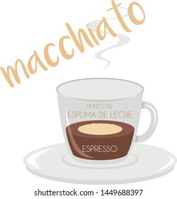 Vector illustration of a Macchiato coffee cup icon with its preparation and proportions and names in spanish.