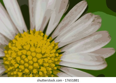 vector illustration of macro shot of a daisy